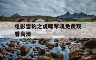 电影雪豹之虎啸军魂免费观看高清-雪豹之虎啸军魂免费观看完整版