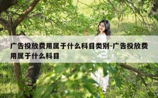 广告投放费用属于什么科目类别-广告投放费用属于什么科目