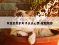 家庭旅游的句子说说心情-家庭旅游