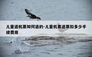 儿童退机票如何退的-儿童机票退票扣多少手续费用