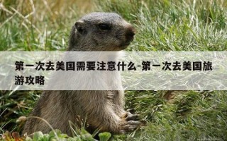 第一次去美国需要注意什么-第一次去美国旅游攻略