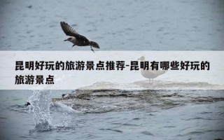昆明好玩的旅游景点推荐-昆明有哪些好玩的旅游景点