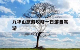 九华山旅游攻略一日游自驾游-九华山 旅游 攻略
