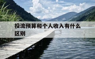 投流预算和个人收入有什么区别-投流的全称