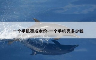 一个手机壳成本价-一个手机壳多少钱