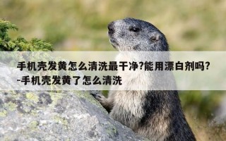 手机壳发黄怎么清洗最干净?能用漂白剂吗?-手机壳发黄了怎么清洗