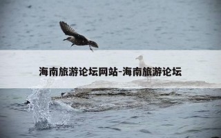海南旅游论坛网站-海南旅游论坛