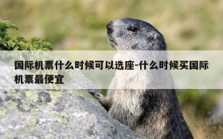 国际机票什么时候可以选座-什么时候买国际机票最便宜