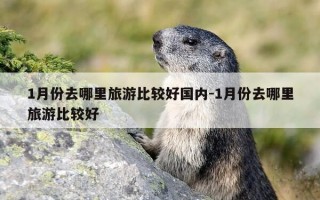 1月份去哪里旅游比较好国内-1月份去哪里旅游比较好