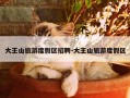 大王山旅游度假区招聘-大王山旅游度假区