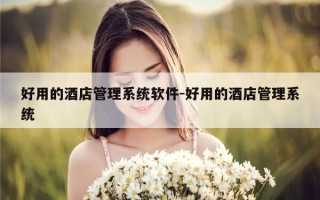 好用的酒店管理系统软件-好用的酒店管理系统