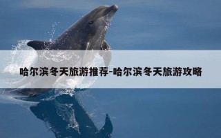 哈尔滨冬天旅游推荐-哈尔滨冬天旅游攻略