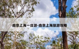 南京上海一日游-南京上海旅游攻略