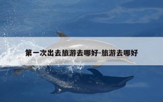 第一次出去旅游去哪好-旅游去哪好