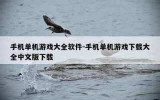 手机单机游戏大全软件-手机单机游戏下载大全中文版下载
