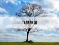 飞猪旅游-飞猪旅游网