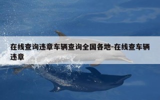 在线查询违章车辆查询全国各地-在线查车辆违章