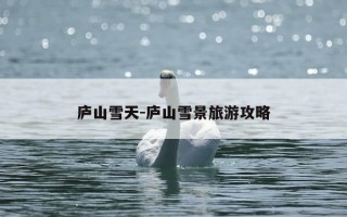 庐山雪天-庐山雪景旅游攻略