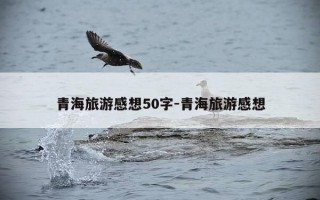 青海旅游感想50字-青海旅游感想
