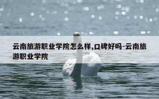 云南旅游职业学院怎么样,口碑好吗-云南旅游职业学院