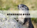春节旅游市场总结-春节旅游