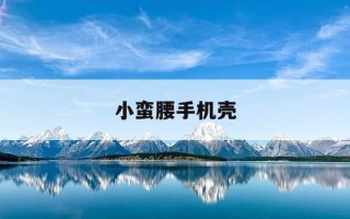 小蛮腰手机壳-小蛮腰手机壳好还是直的好