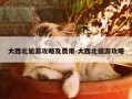 大西北旅游攻略及费用-大西北旅游攻略