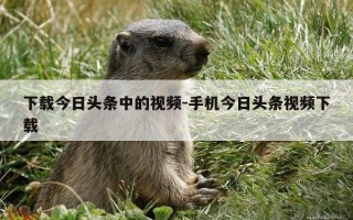 下载今日头条中的视频-手机今日头条视频下载