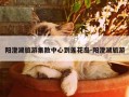 阳澄湖旅游集散中心到莲花岛-阳澄湖旅游