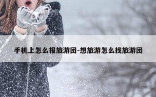 手机上怎么报旅游团-想旅游怎么找旅游团