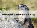 东平一日游先后顺序-东平旅游景点大全