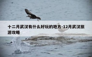 十二月武汉有什么好玩的地方-12月武汉旅游攻略