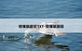 惊悚旅游团TXT-惊悚旅游团