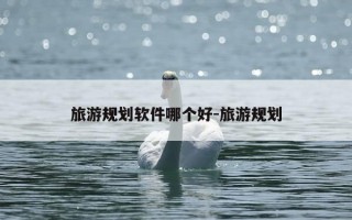 旅游规划软件哪个好-旅游规划