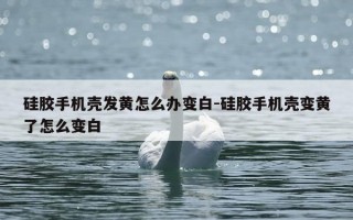 硅胶手机壳发黄怎么办变白-硅胶手机壳变黄了怎么变白