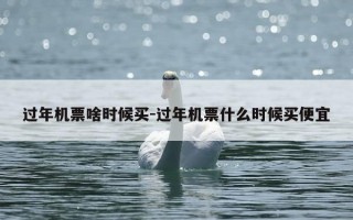 过年机票啥时候买-过年机票什么时候买便宜