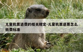 儿童机票退费的相关规定-儿童机票退票怎么收费标准