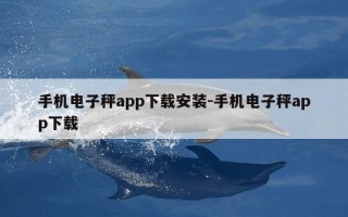 手机电子秤app下载安装-手机电子秤app下载