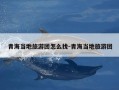 青海当地旅游团怎么找-青海当地旅游团