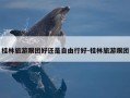 桂林旅游跟团好还是自由行好-桂林旅游跟团