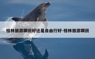 桂林旅游跟团好还是自由行好-桂林旅游跟团
