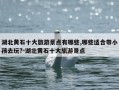 湖北黄石十大旅游景点有哪些,哪些适合带小孩去玩?-湖北黄石十大旅游景点