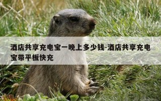 酒店共享充电宝一晚上多少钱-酒店共享充电宝带平板快充