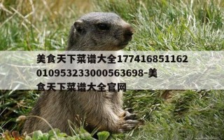 美食天下菜谱大全177416851162010953233000563698-美食天下菜谱大全官网