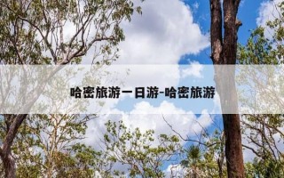 哈密旅游一日游-哈密旅游