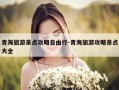 青海旅游景点攻略自由行-青海旅游攻略景点大全