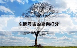 车牌号吉凶查询打分-车牌号码吉凶测算