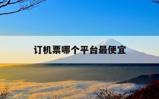 订机票哪个平台最便宜-订机票哪个平台最便宜国家电网电商公司