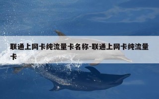 联通上网卡纯流量卡名称-联通上网卡纯流量卡