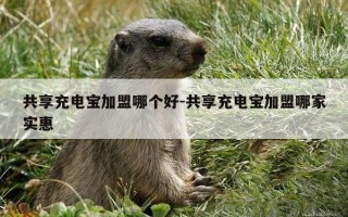 共享充电宝加盟哪个好-共享充电宝加盟哪家实惠